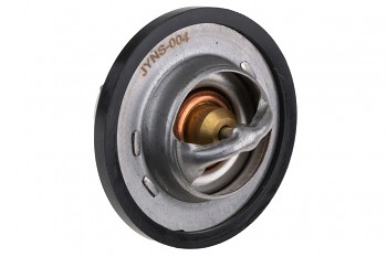 Termostat Renault Mégane III (BZ0/1, KZ0/1, DZ0/1, EZ0/1), Scénic III 2.0 (2008–2016)