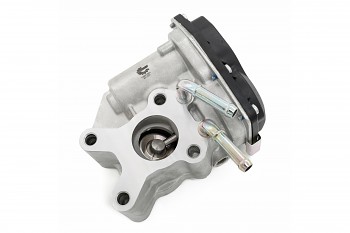 EGR ventil NISSAN Navara, Pathfinder III, Cabstar, NT400, NV350 2.5 dCi